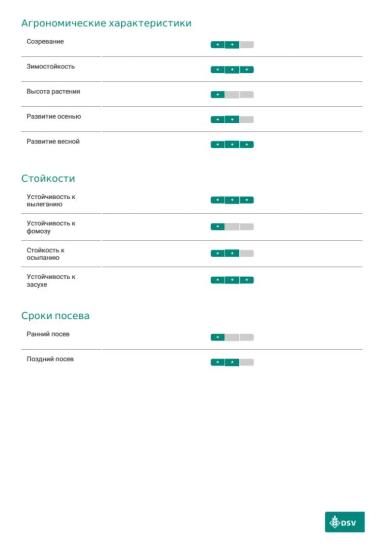 Крокодил - гибрид озимого рапса  (Brassica napus var. napus).