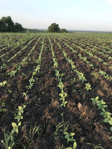  Всем Доброго дня: