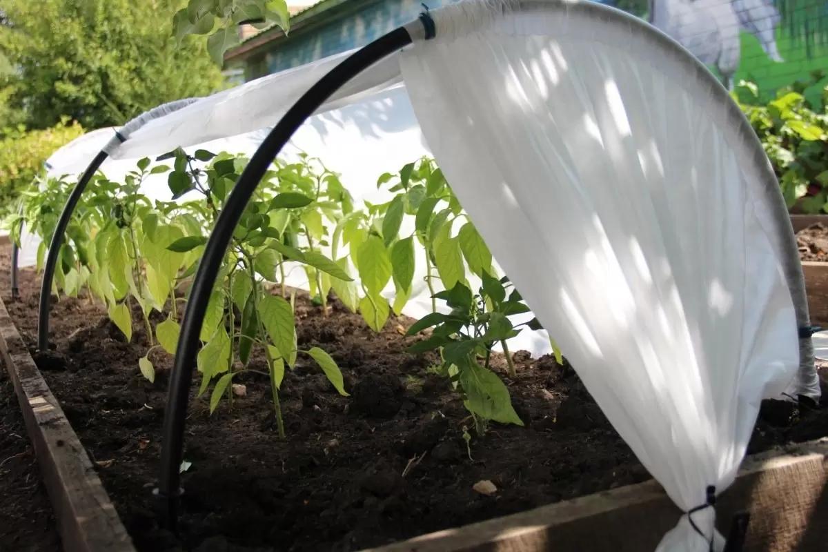 🌱 Как выбрать укрывной материал под сезон — коротко и по делу.
