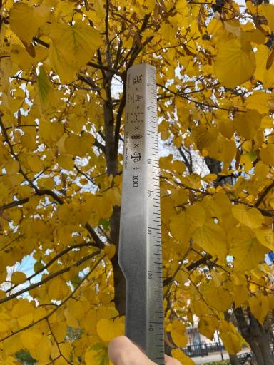 А у вас есть линейка агронома?