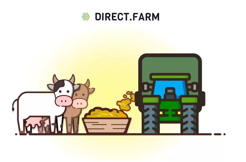 Сколько раз в день нужно раздавать корм скоту?