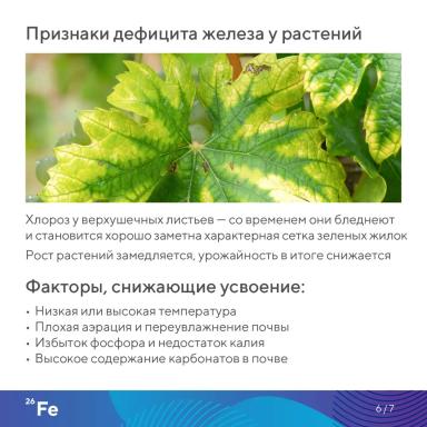 «Элементарно об элементах!»: железо