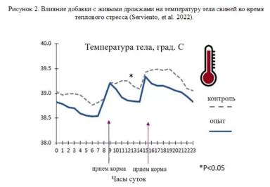 Влияние добавок с живыми дрожжами на организм свиней при тепловом стрессе