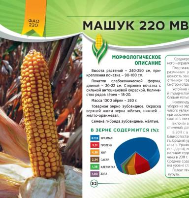 Машук 220 МВ
