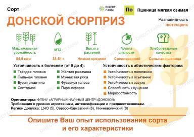 Донской сюрприз сорт мягкой озимой пшеницы