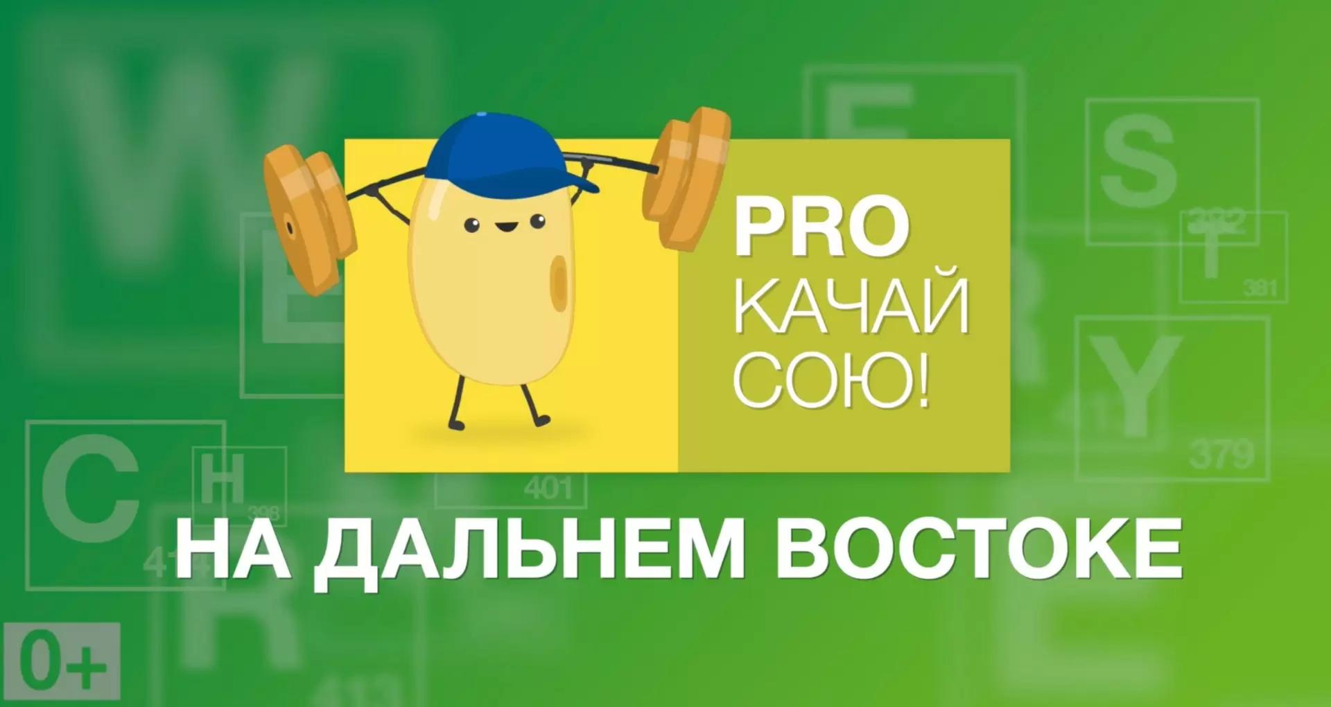 «PROкачай сою» на Дальнем Востоке: фунгицидная защита