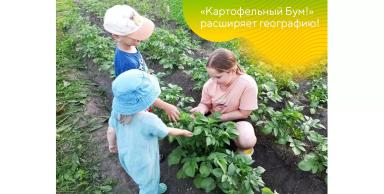 «Картофельный Бум!» и «Овощной Бум!» – конкурсы расширяют географию!