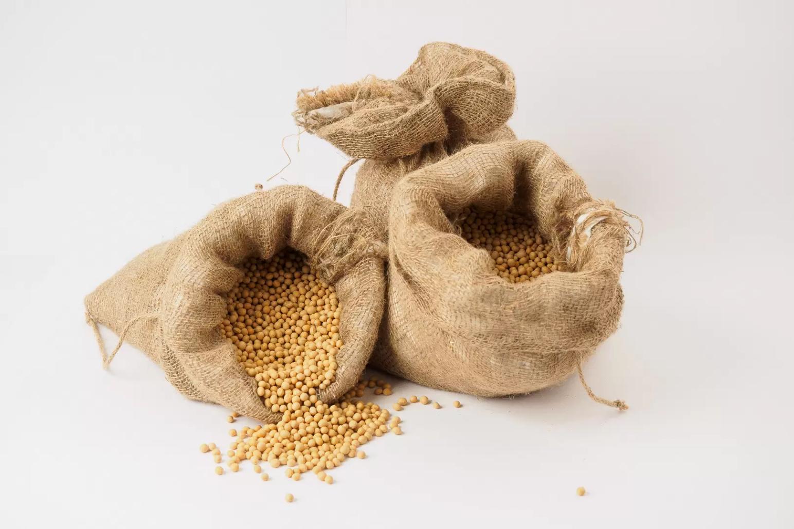 СОХРАНИЛ СЕМЕНА – ПРЕУМНОЖИЛ УРОЖАЙ