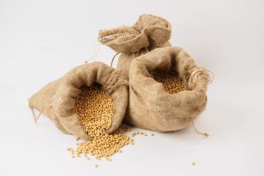 СОХРАНИЛ СЕМЕНА – ПРЕУМНОЖИЛ УРОЖАЙ