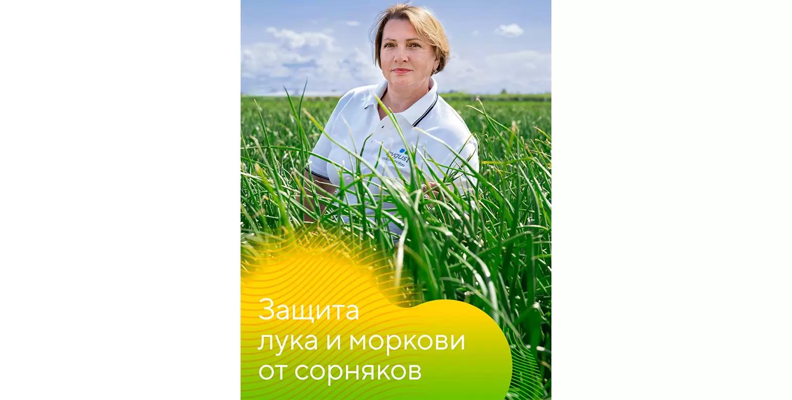 Защита лука и моркови от сорняков