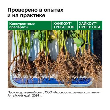 Одна бактерия хорошо, а две – лучше!