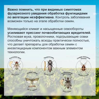 🫘 Продолжаем листать наш Соевый Агрокалендарь!