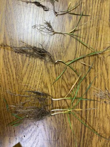 Вопросы из чатов: что планировать на весну?