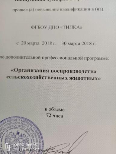 Резюме: Люблю животных