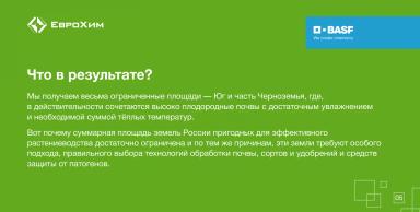 5 декабря — Всемирный день почв
