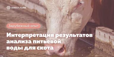 Интерпретация анализа питьевой воды для скота