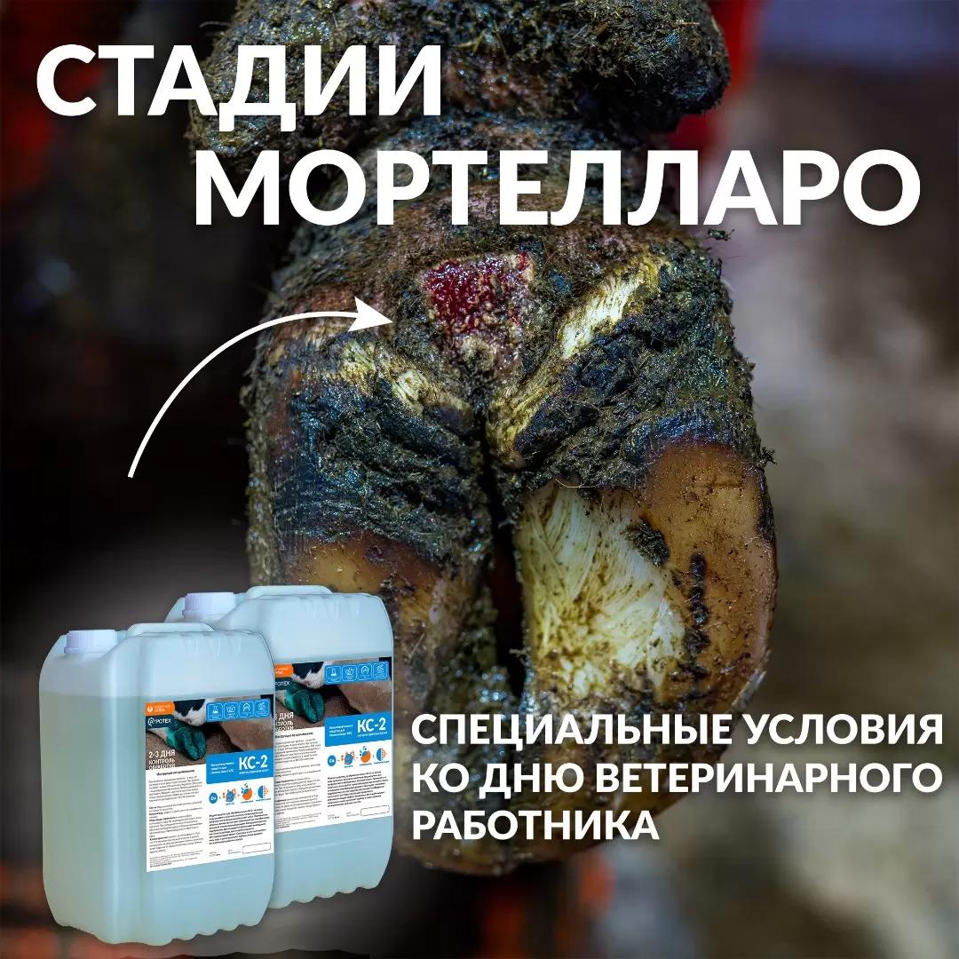 Стадии Мортелларо