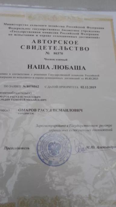 Фермерское хозяйство эко-чеснок