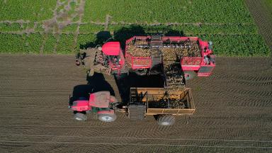 Точный сев - залог отличного урожая. Свеклоуборочный комбайн Holmer Terra Dos T4