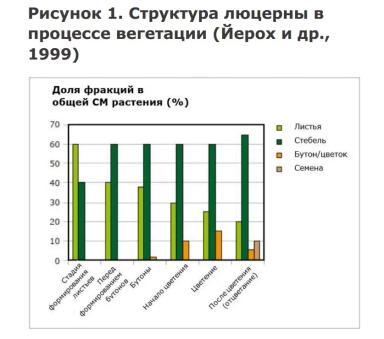 Питательная ценность люцерны и правила ее применения