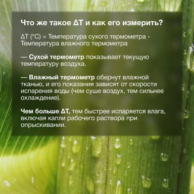 🌿 Влажность воздуха — главный союзник защиты растений!