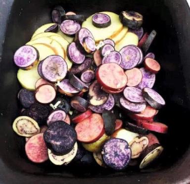 Мой друг Густаво