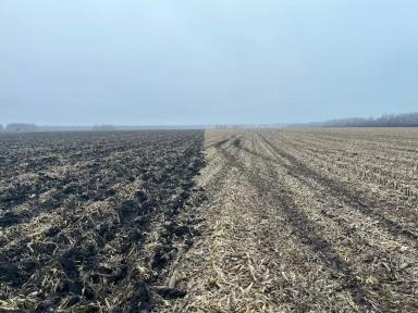 Обработка пожнивных остатков кукурузы