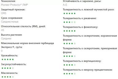П 64 ЛЛ 155 - гибрид подсолнечника Пионер