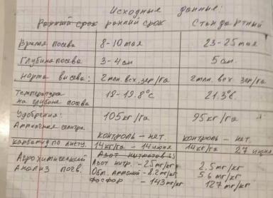 Сравнение раннего и стандартного срока посева ярового ячменя