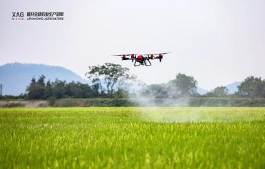 Обзор работы дронов XAG ХР2020 у "Обычного Фермера" 