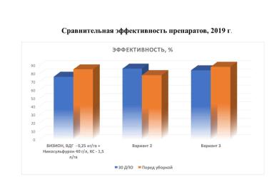Новый взгляд на защиту кукурузы от компании ЮПЛ