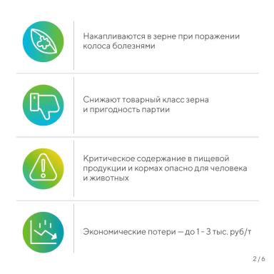 Внимание, микотоксины!