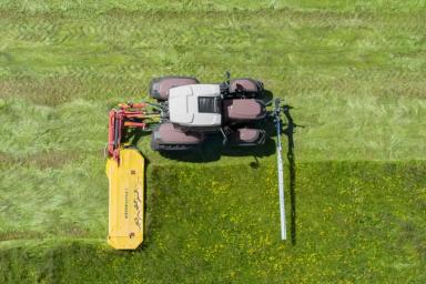 Кормозаготовка: как защитить животных?