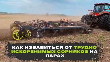 Как избавиться от трудноискоренимых сорняков на парах