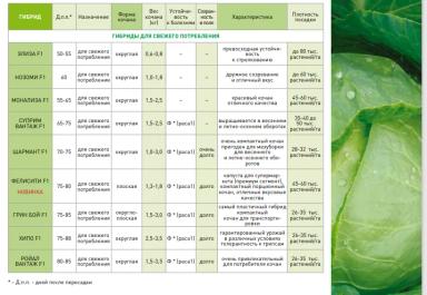 Хипо  F1 (HYPOO)