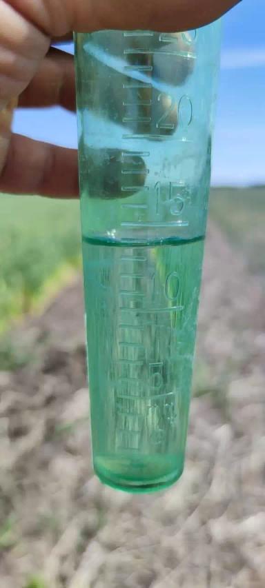 Снегозадержание и урожайность (результаты эксперимента)