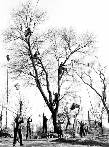 Студенты Высшей школы в Пекине охотятся на воробьёв. Фото: Roger-Viollet / AFP / East News