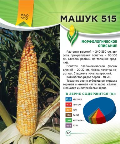Машук 515