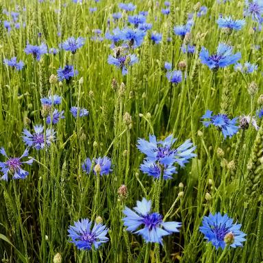 "Как создать красоту"