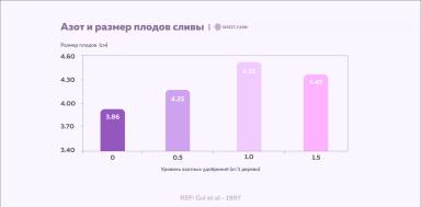 Как увеличить размер и массу плодов косточковых: элементы питания