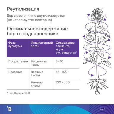 Элементарно об элементах: бор