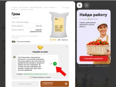 Топ сортов яровой пшеницы