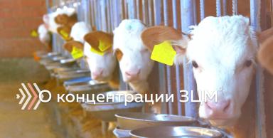 Заменитель цельного молока: нужна более высокая концентрация?