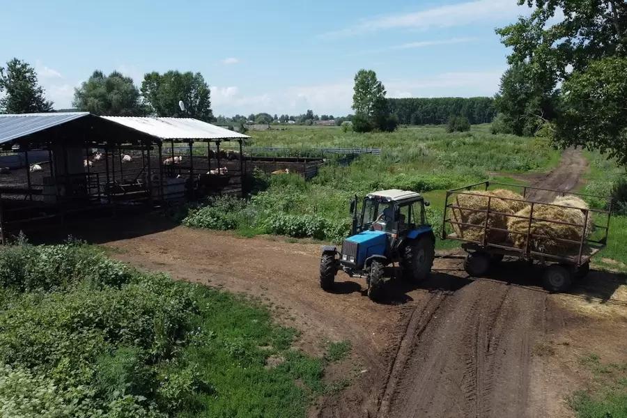 Кабмин РФ расширил меры поддержки сельхозпроизводителей