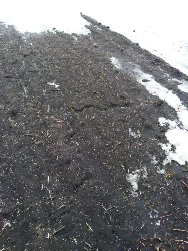 Подкормка озимой 2021