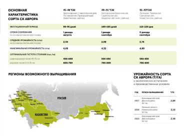 ДАЕШЬ ЭЛИТУ!