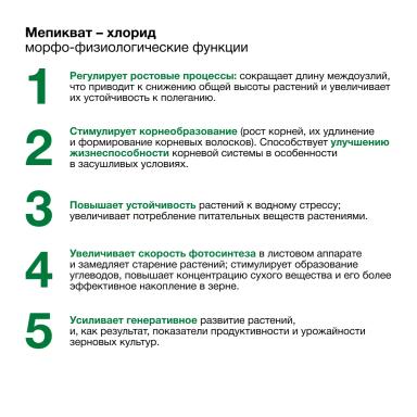 Замедление выработки гормонов-гиббереллинов