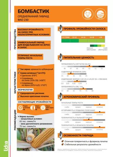 ЕС Бомбастик  - гибрид кукурузы ( Zea mays L.).