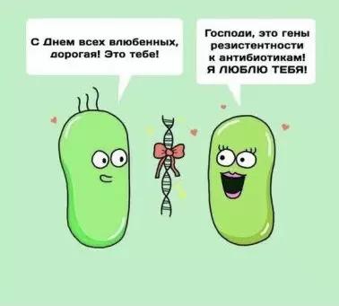 Ошибка №5. Передоз антибиотиков