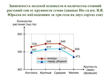 Соя "сильные семена"